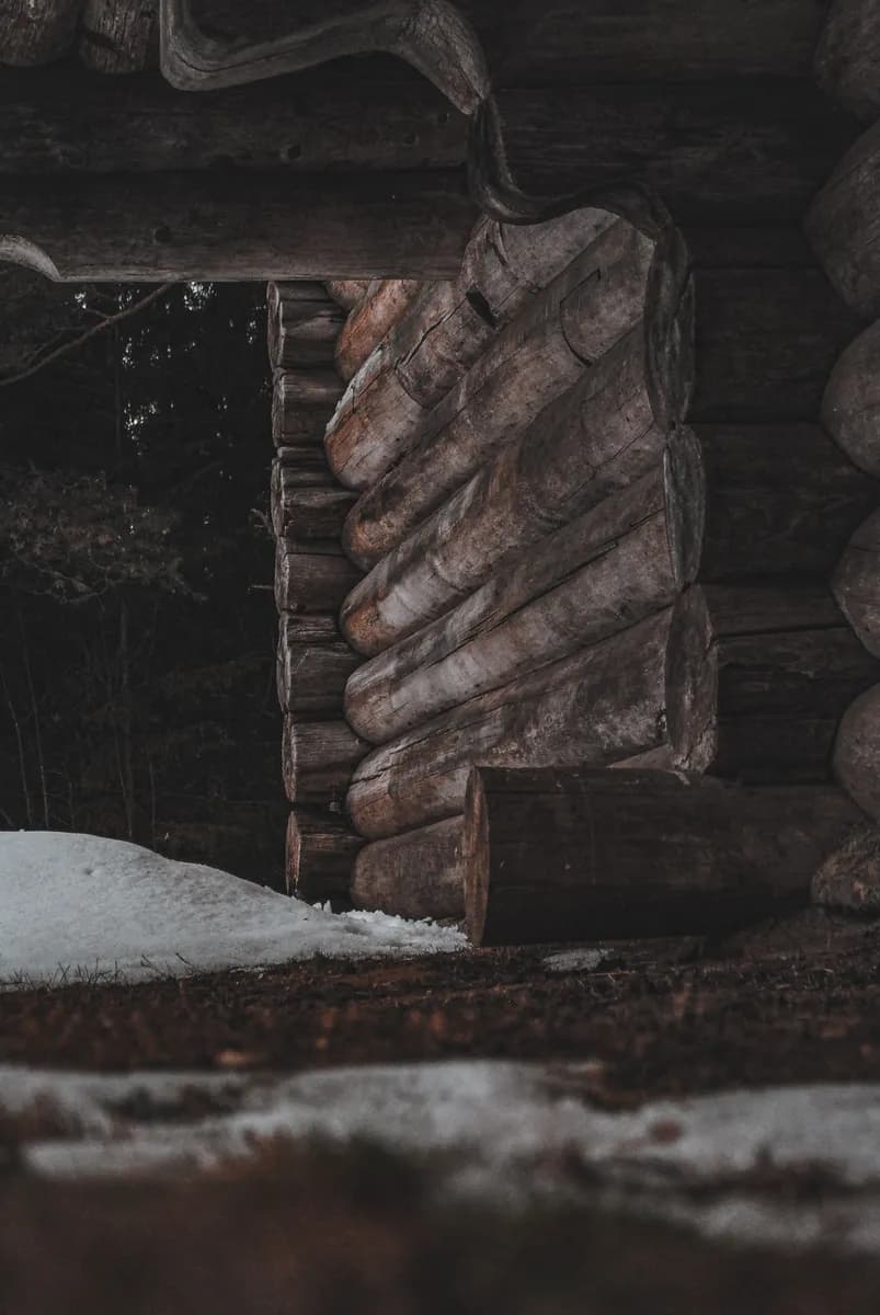 Ukážková fotografia BookNoFees: Zasnežený vchod do zrubovej chaty z tmavých guľatín