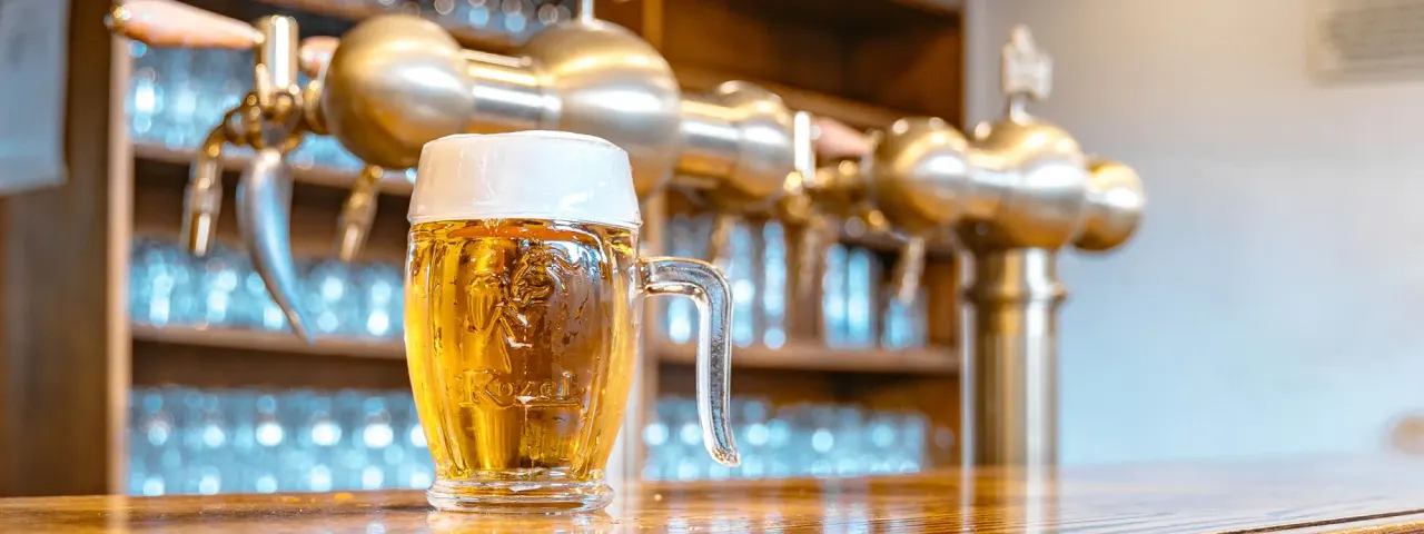 BookNoFees: Reštaurácia – Kozel u Bohemky – Prague – Kozel pri Bohemke, fotka 1