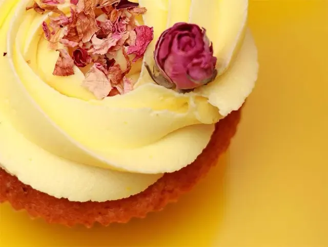 BookNoFees: Pekáreň – Take a Cake – Sofia – Vezmi si koláč, fotka 3
