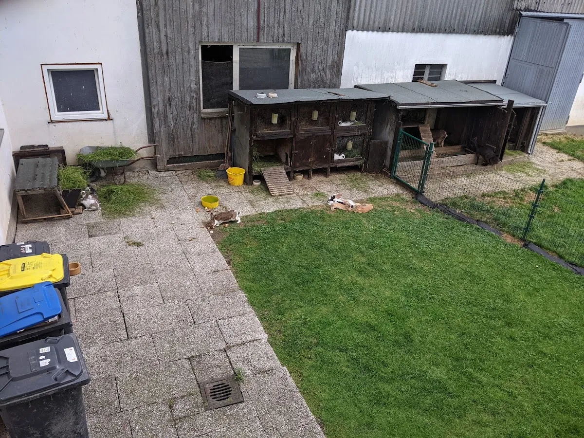 BookNoFees: Reštaurácia – Hof Kilbe – Bad Berleburg – Vesnická slávnosť v Hofe, fotka 1