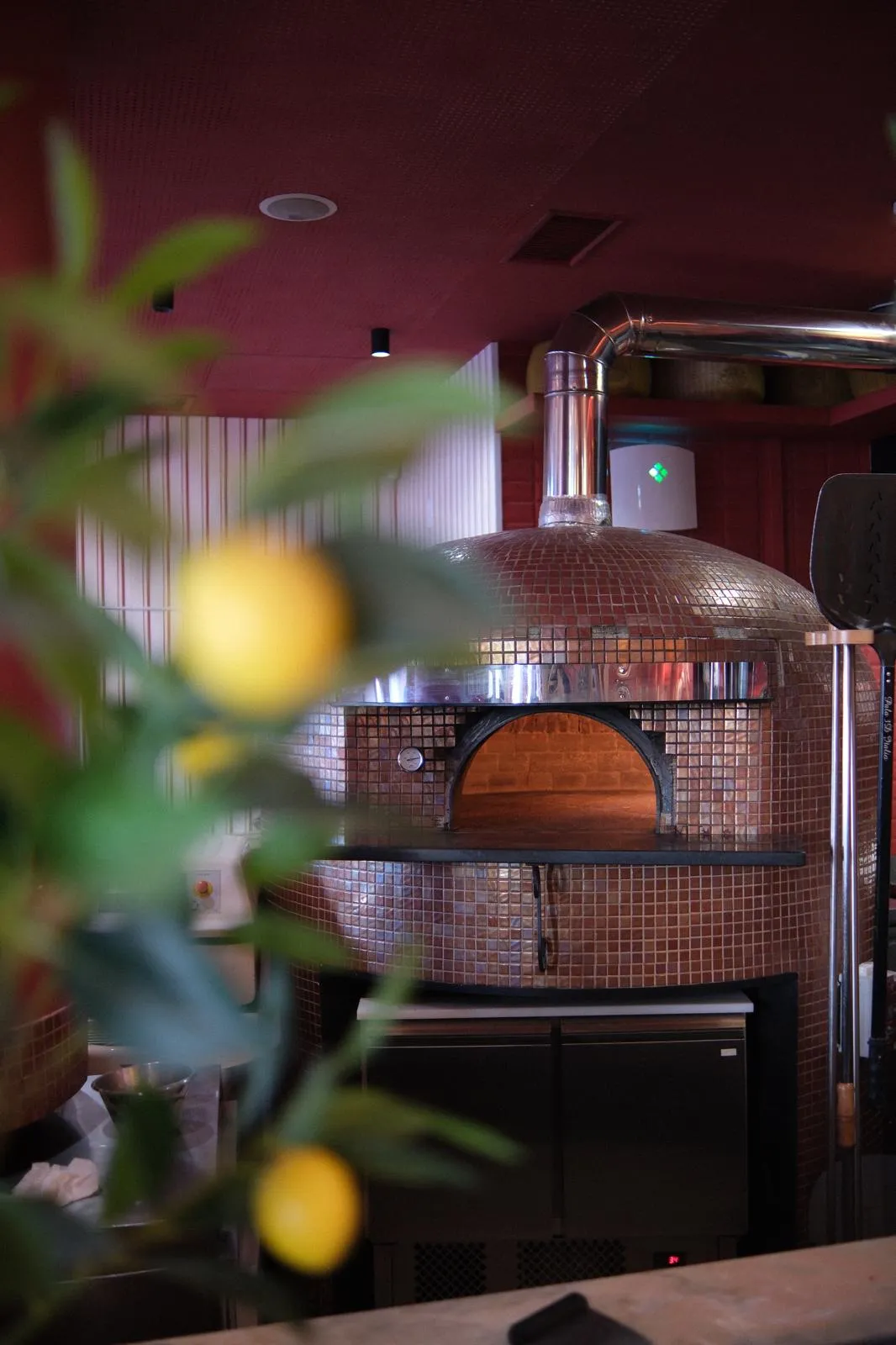 BookNoFees: Reštaurácia – Ristorante Donatella Italiano – Lisbon – Talianska reštaurácia Donatella, fotka 1