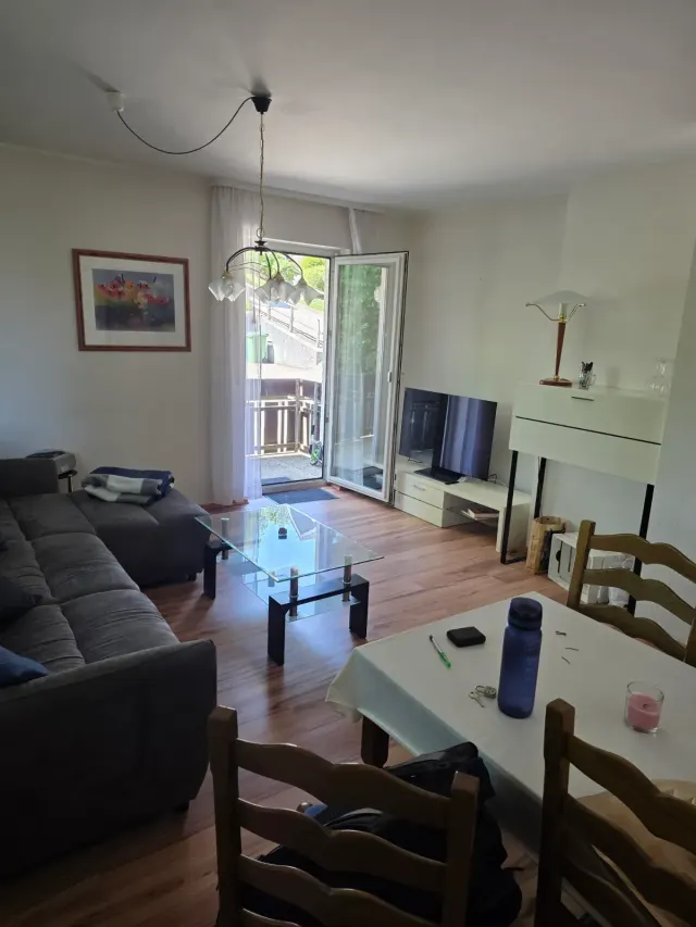 BookNoFees: Pokojný apartmán uprostred prírody s balkónom a bezplatným parkovaním – Willingen