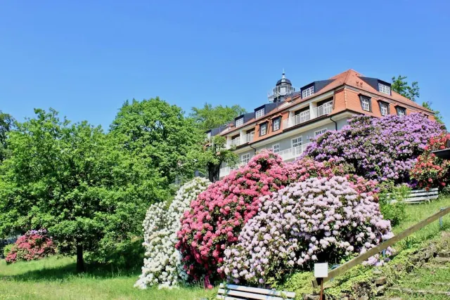 BookNoFees: Prázdninový apartmán „Príroda a umenie“, Drážďany, Saské Švajčiarsko – Dresden
