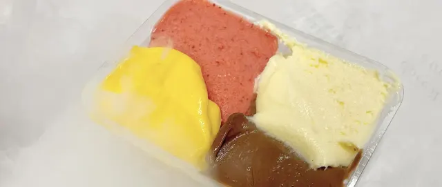 BookNoFees: Zmrzlina – Gelateria Fassi – Rome – Zmrzlináreň Fassi, fotka 3
